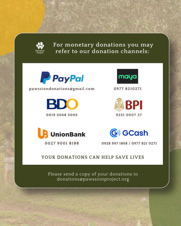 Donation Channels of Pawssion Project