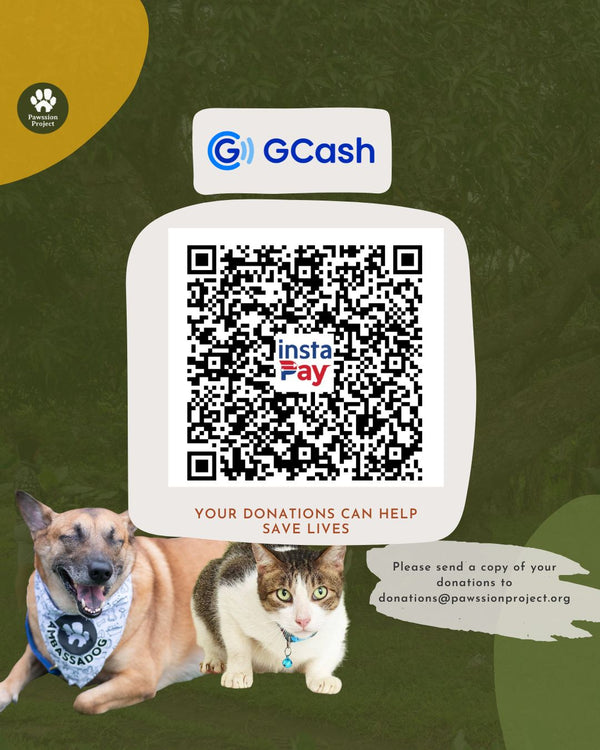 Donation Channels of Pawssion Project